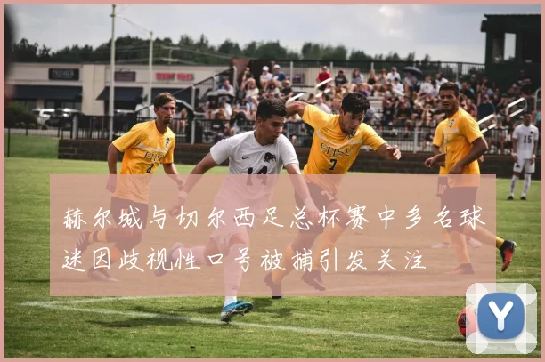 赫尔城与切尔西足总杯赛中多名球迷因歧视性口号被捕引发关注